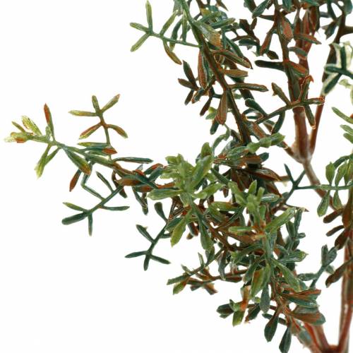 Floristik24 Kakukkfű szedett műzöld 26cm 6db