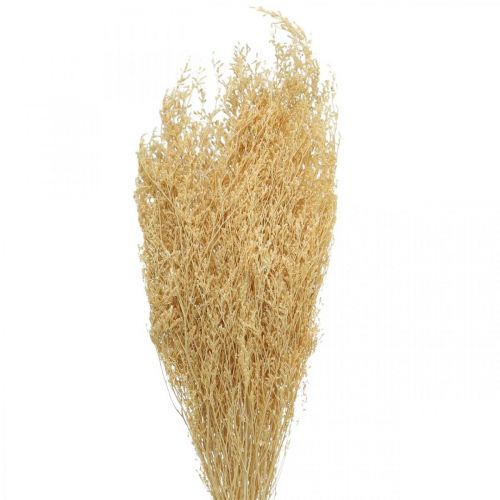 Floristik24 Szárított tengeri levendula krém Statice Dry Deco 100g