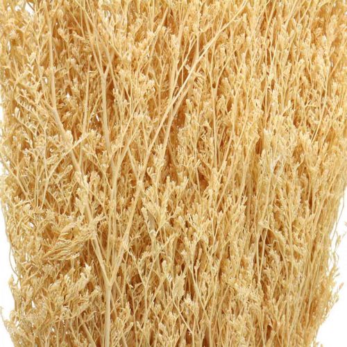 Floristik24 Szárított tengeri levendula krém Statice Dry Deco 100g