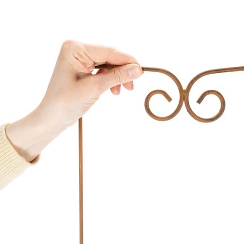 tételeket Rácsos, kúszónövény, ívelt díszítőelem virágágyásokhoz és növénycserepekhez, 75 cm