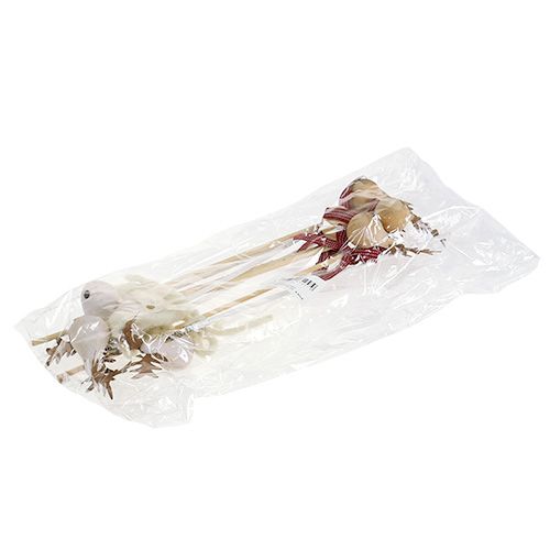 Floristik24 Dugós elk natúr, fehér 7cm L30cm 8db