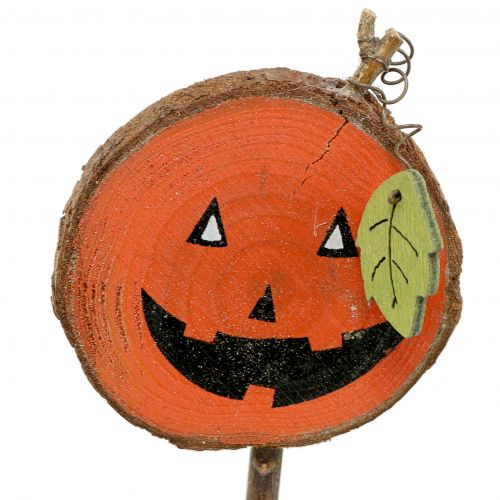 Floristik24 Dugós sütőtök természet, narancs 8cm 12db