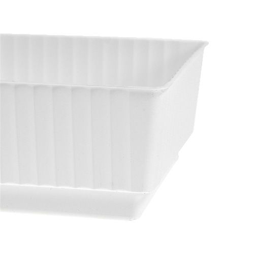 Floristik24 Aljzattál Lara 15cm x 8cm x 4cm 10db