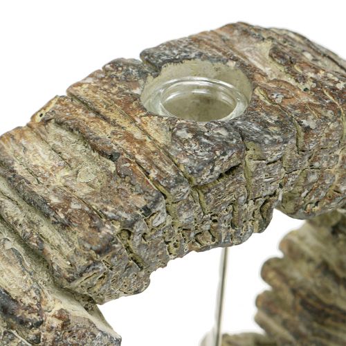 Floristik24 Betonváza kémcsőgyűrűvel Ø16cm