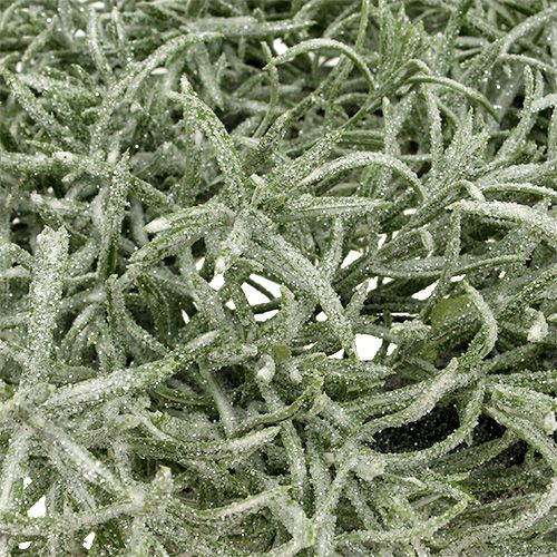 Floristik24 Dekoratív koszorú Ø30cm csillogó zölddel