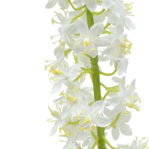 tételeket Sivatagi farok fehér 106 cm