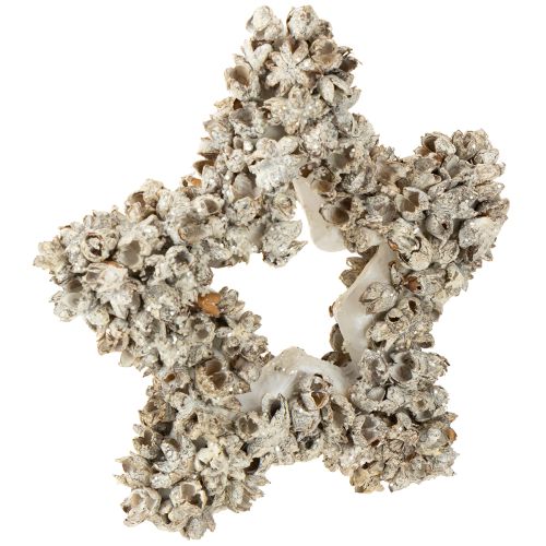 Floristik24 Csillag akasztható karácsonyi dekoráció fehér, csillogó Ø15cm