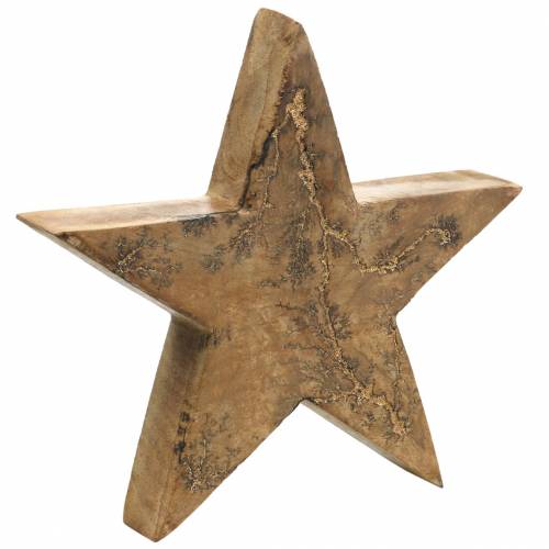 Floristik24 Mikulásvirág álló mangó jellegű, arany 20 × 20 × 3,5 cm