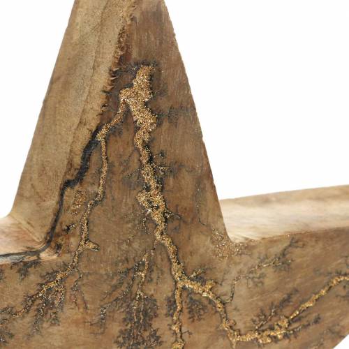 Floristik24 Mikulásvirág álló mangó jellegű, arany 20 × 20 × 3,5 cm