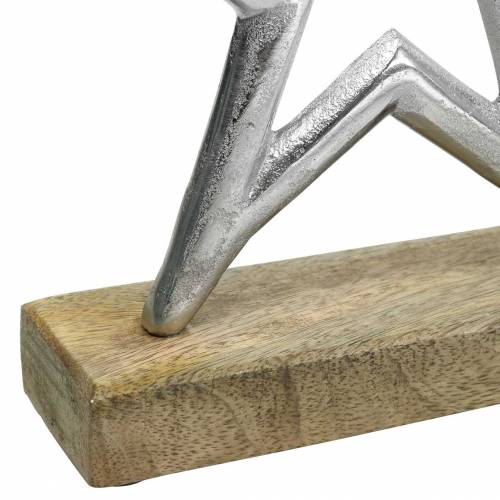 Floristik24 Csillag az összeállításhoz Mango, fémezüst 21 × 16,5 cm