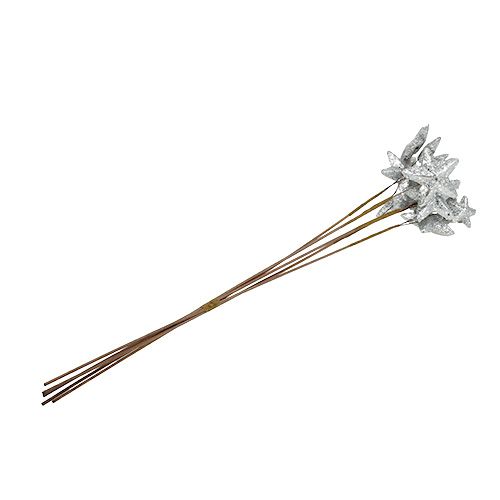 Floristik24 Csillagok a boton ezüst 60cm 5db.