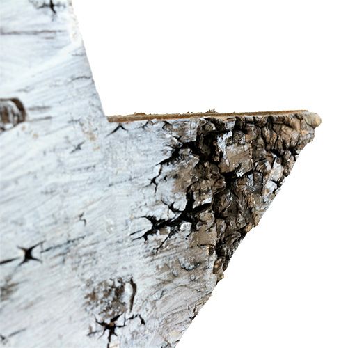 Floristik24 Nyírfa kéreg csillagok fehér 29cm 3db