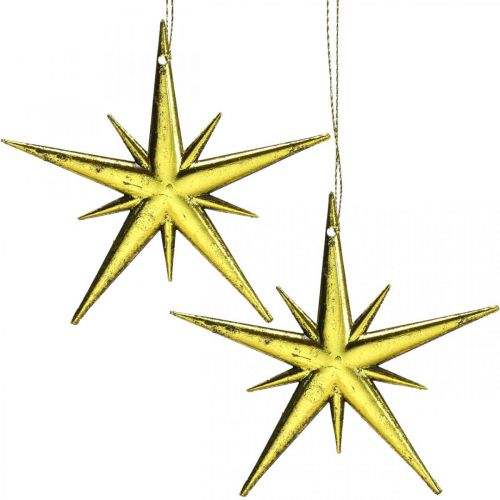 Floristik24 Karácsonyi dekoráció csillag medál arany W11,5cm 16db