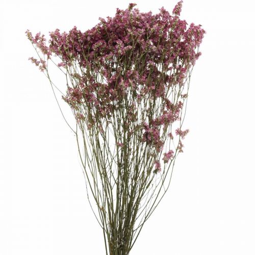Floristik24 Statice, tengeri levendula, szárított virág, vadvirágcsokor rózsaszín L52cm 23g