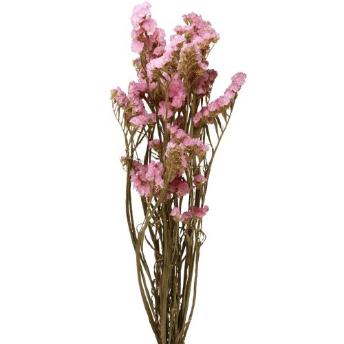 Floristik24 Strand Lila Pink Limonium Szárított Virágok 60cm 50g
