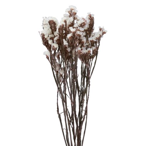 Floristik24 Strand Lila Fehér Limonium Szárított Virágok 60cm 35g