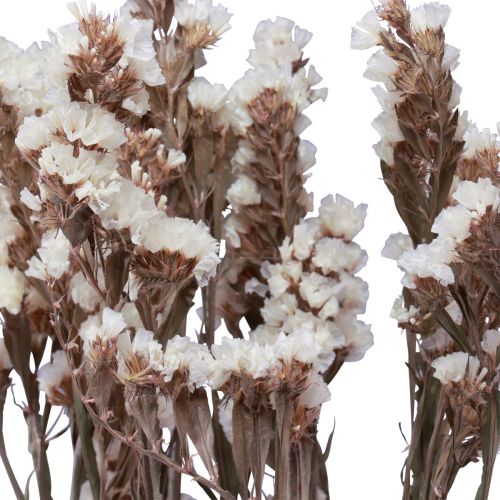 tételeket Strand Lila Fehér Limonium Szárított Virágok 60cm 35g