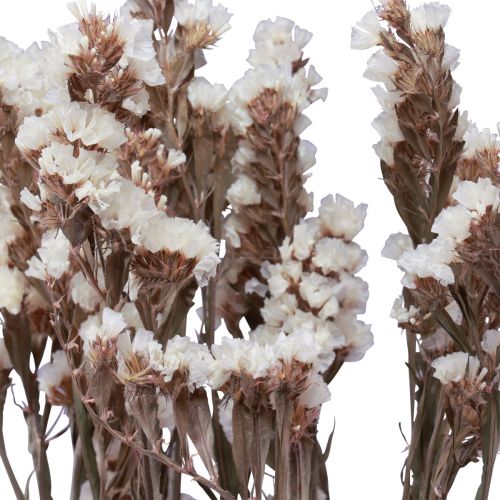 Floristik24 Strand Lila Fehér Limonium Szárított Virágok 60cm 35g