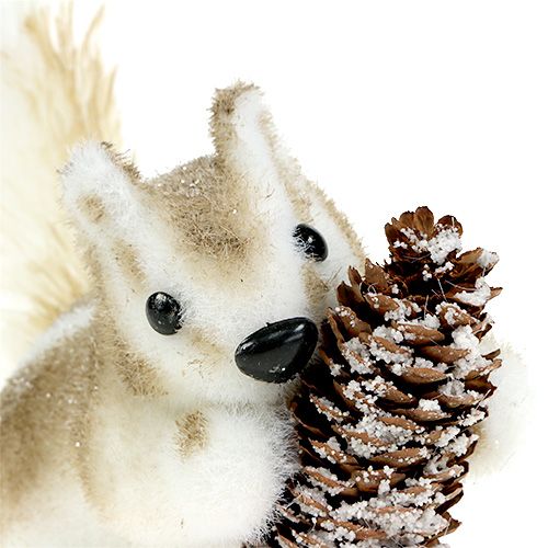 Floristik24 Mókusbarna kúpokkal 21x14cm