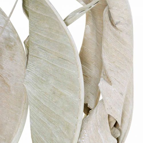 tételeket Strelitzia levelek mosott fehér szárított 45-80cm 10p
