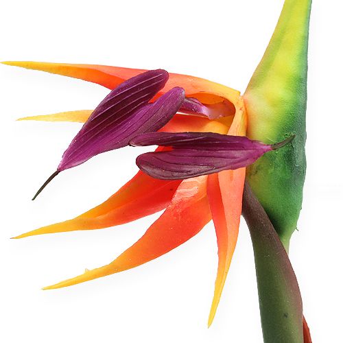 Floristik24 Strelitzia paradicsommadár virág 62cm