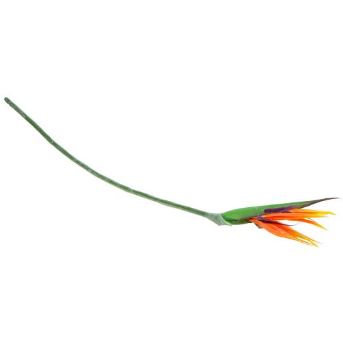 Floristik24 Strelitzia Paradicsommadár 95cm