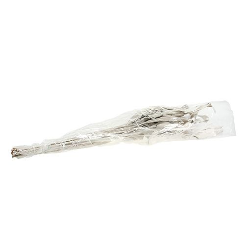 Floristik24 Dekoratív levelek Strelitzia levelek fehérre mosva 120cm 10 db