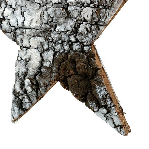 Floristik24 Nyírfa kéreg csillag nagy fehér 19cm 4db