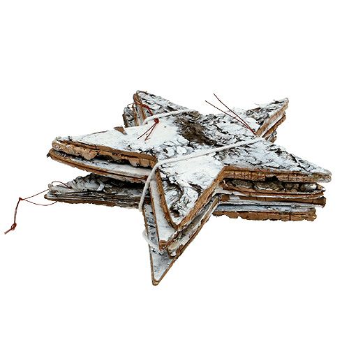 Floristik24 Nyírfa kéreg csillag nagy fehér 19cm 4db