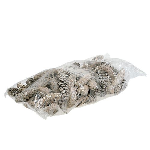 tételeket Strobus kúpok 15cm - 20cm fehér mosott 50 db