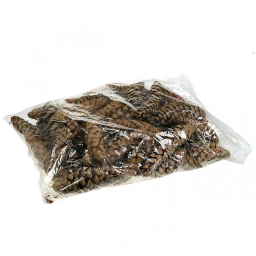 Fenyőtoboz Fehér fenyő Strobus Natural Vegyes 2,5kg | Floristik24.hu