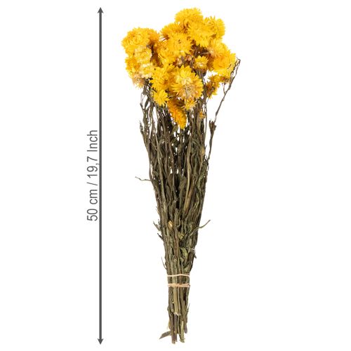 tételeket Szárított sárga szalmavirág (Helichrysum) szárított virágcsokor, 100g
