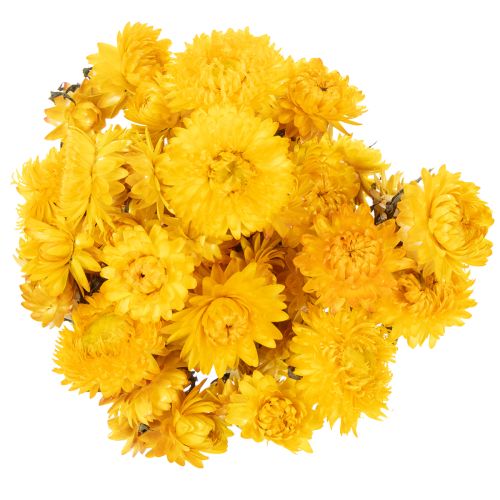 tételeket Szárított sárga szalmavirág (Helichrysum) szárított virágcsokor, 100g