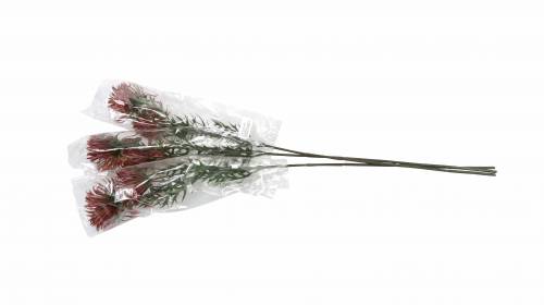Floristik24 Xanthium ág Bordeaux 69cm 3db