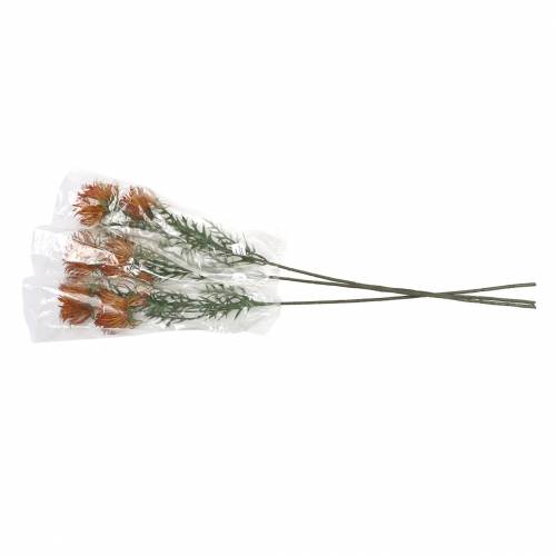 Floristik24 Xanthium ág narancs 69cm 3db