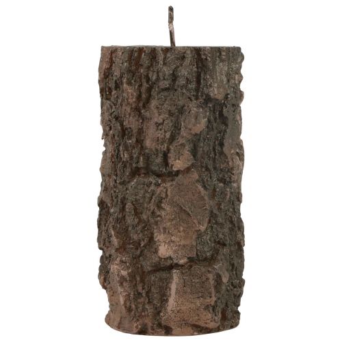 tételeket Oszlopos gyertyafa törzs díszgyertya barna 130/65mm 1db