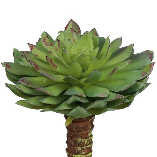Zamatos Echeveria mesterséges zöld növény zöld Ø6cm 10,5cm
