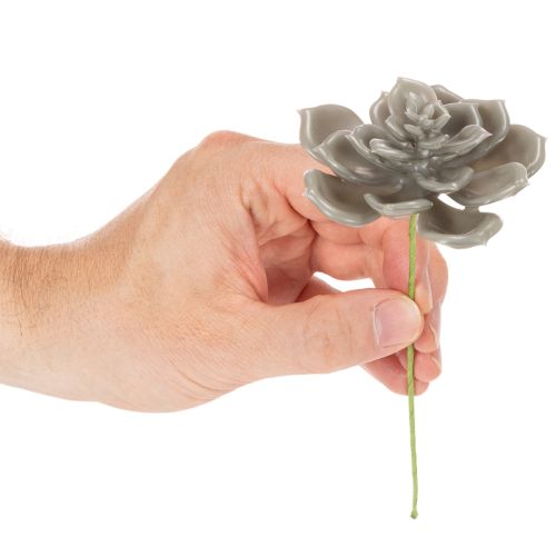 Mesterséges pozsgás viasz műnövény dróttal 8cm 8db | Floristik24.hu