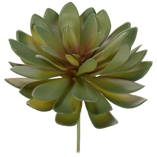 Mesterséges pozsgás dísznövényként, zöld, 18 cm, 3 darab