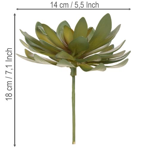 Mesterséges pozsgás dísznövényként, zöld, 18 cm, 3 darab | Floristik24.hu
