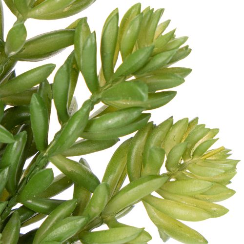 tételeket Mesterséges pozsgás virág lakó- és irodaterek alacsony karbantartási igényű kialakításához, 15 cm, 5 darab