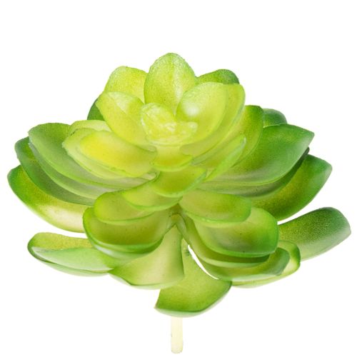 tételeket Mesterséges pozsgás növény, zöld, dekorációnak tálban vagy vázában, 10 cm, 4 darab