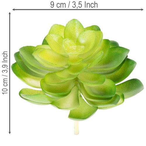 tételeket Mesterséges pozsgás növény, zöld, dekorációnak tálban vagy vázában, 10 cm, 4 darab