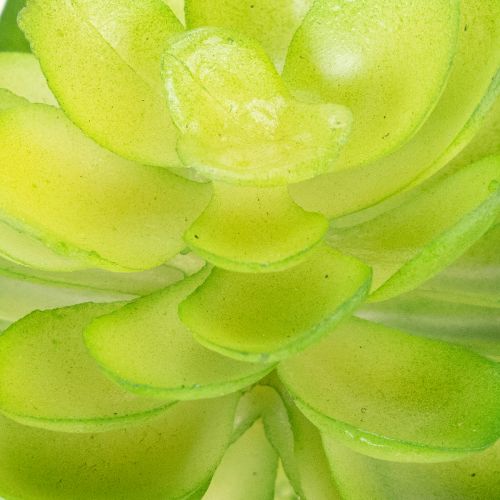 Mesterséges pozsgás növény, zöld, dekorációnak tálban vagy vázában, 10 cm, 4 darab | Floristik24.hu
