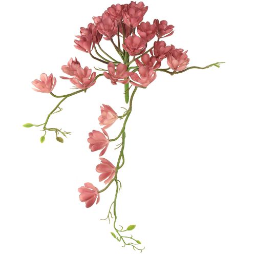 tételeket Mesterséges pozsgás 28 rozetta Aeonium régi rózsaszín 43cm
