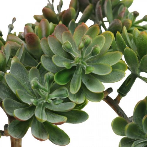 Floristik24 Mesterséges zamatos ragaszkodó zöld, piros 12cm