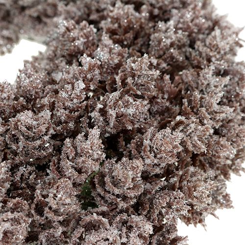 Floristik24 Fenyőtoboz koszorú Ø25cm csillámmal