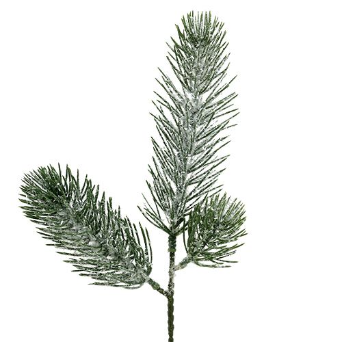 Floristik24 Fenyő ág zöld jeges 30cm 3db
