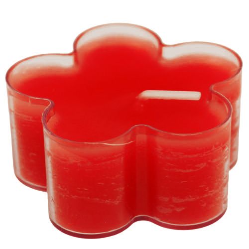 Floristik24 Blossom Light Ruby 12db