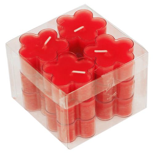 Floristik24 Blossom Light Ruby 12db